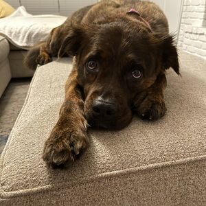 Meet your Posher, Matthew